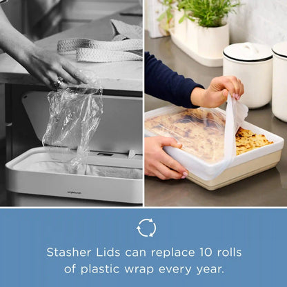 Stretch Lids Variety 6-Pack