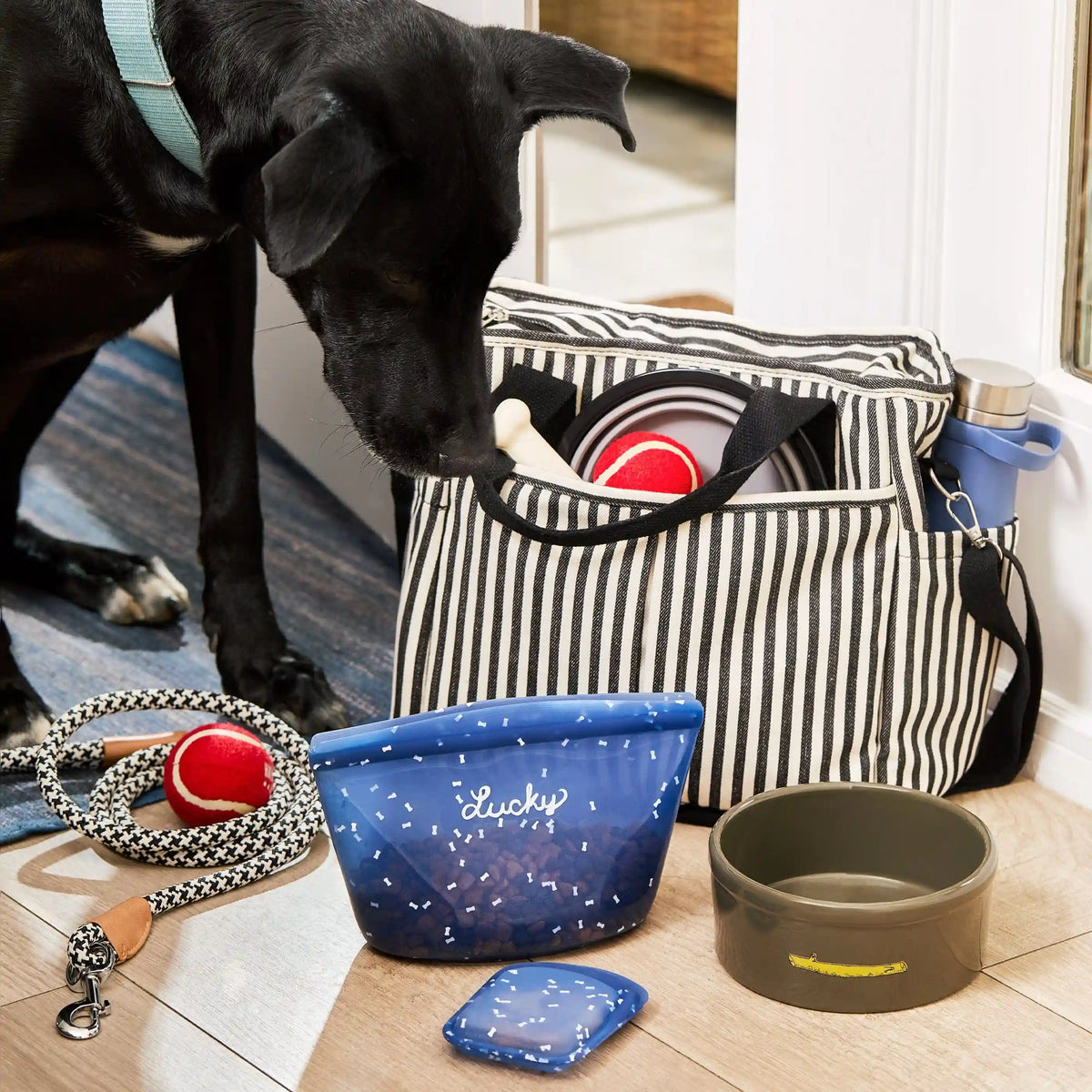 Pet Food Container