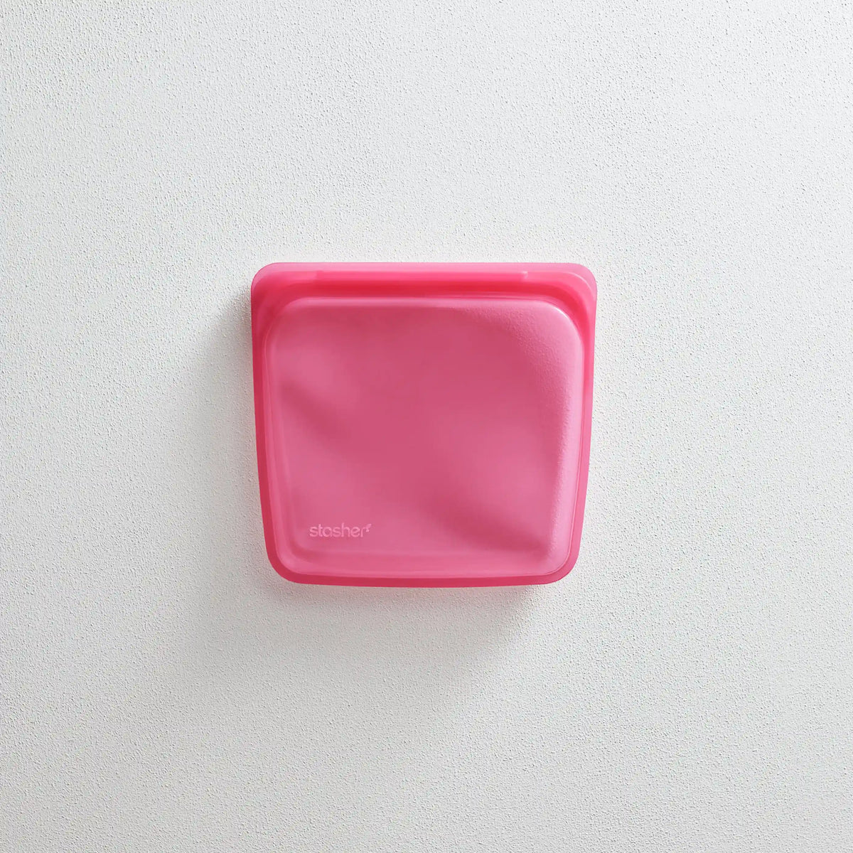 Sandwich Bag