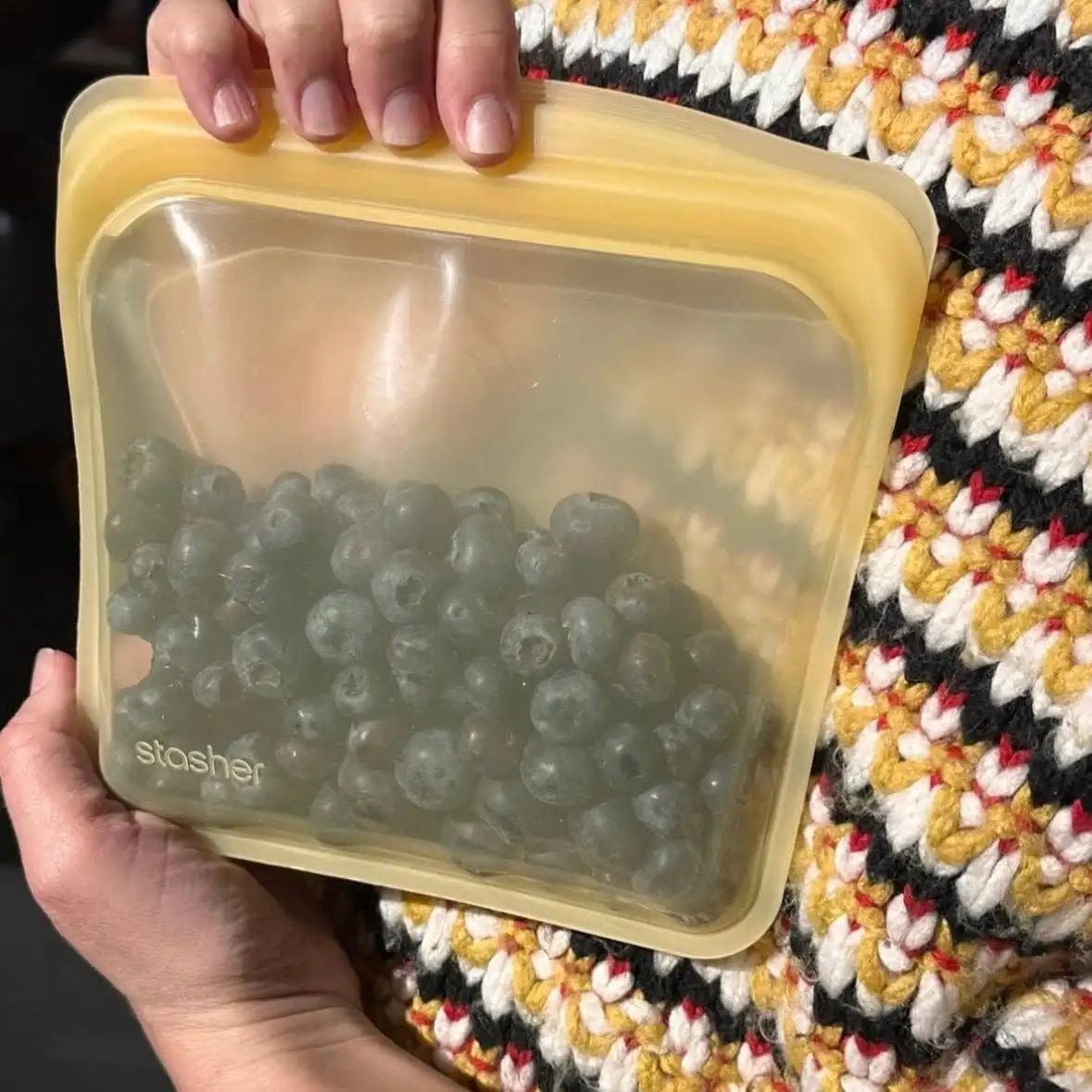 Sandwich Bag